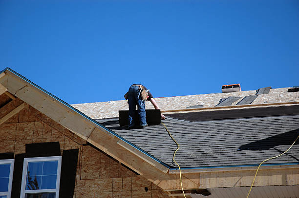 Best Commercial Roofing Services  in Waterloo, NE